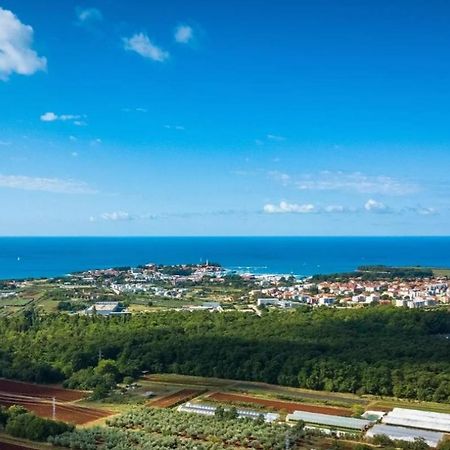 Villa Mimosa Novigrad Istria Dış mekan fotoğraf